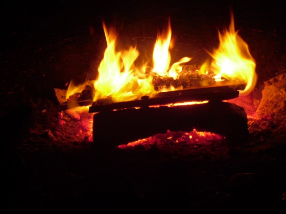 Photography: Mes Photos