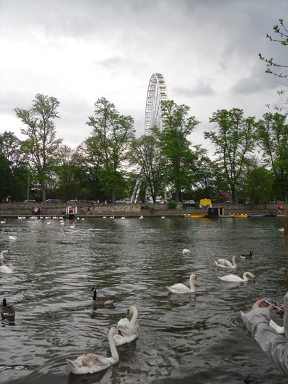 Photography: Mes Photos