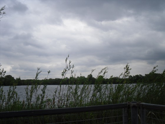 Photography: Mes Photos