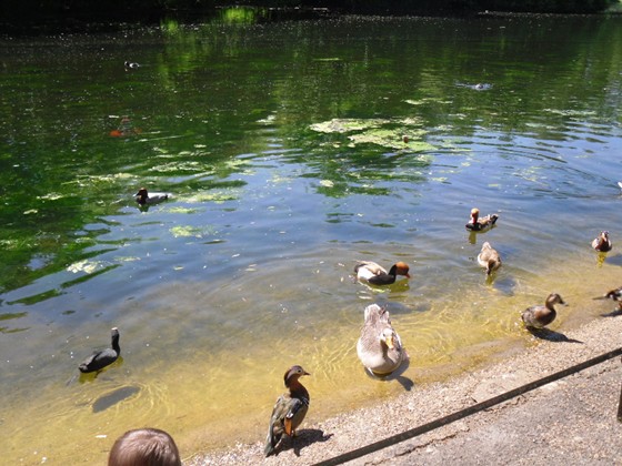 Photography: Mes Photos