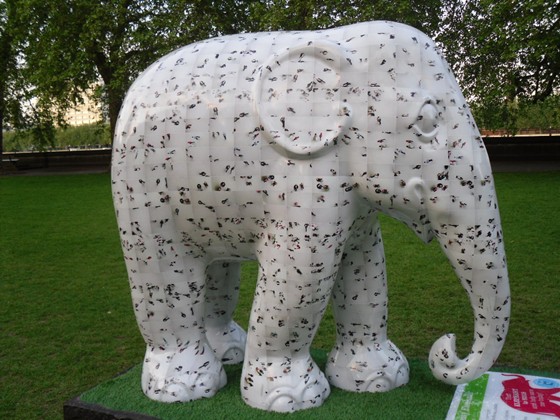 Photography: Mes Photos